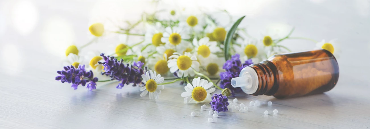 Homeopathy Therapy